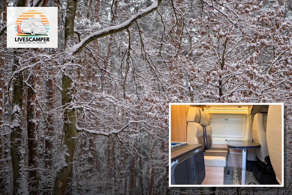 Salón de la camper Giottivan 60B de LivesCamper y un bosque nevado