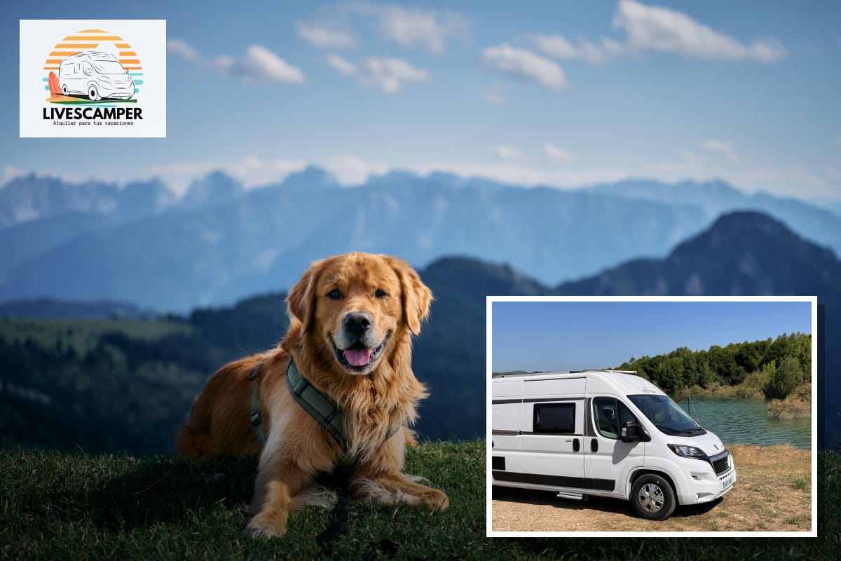 Perro en la montaña junto a la furgoneta camper Giottivan 60B de LivesCamper