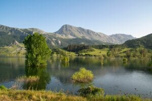 Viajar en Camper con Mascotas desde el Vallès: Guía Práctica para Disfrutar sin Estrés