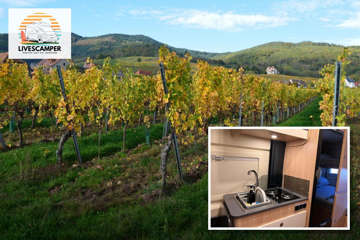 Cocina de la camper Giottivan 60B de LivesCamper y viñedos en otoño